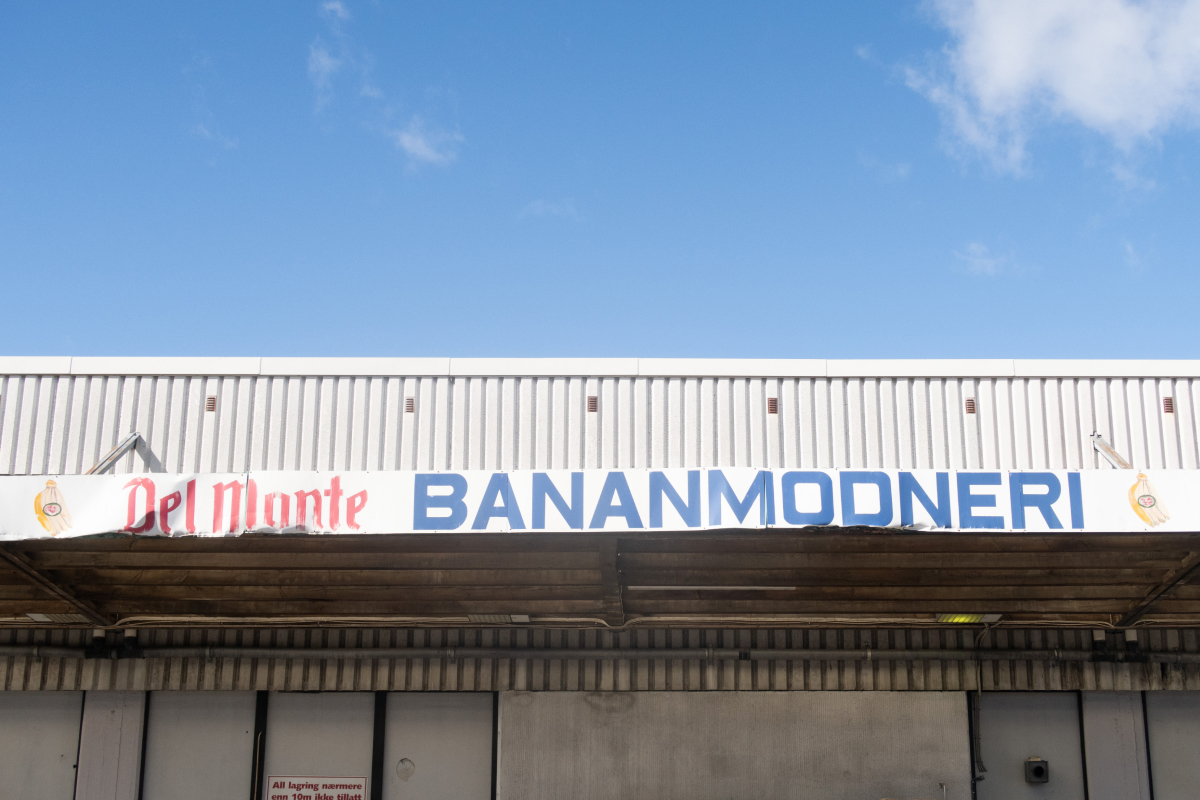 Bananmodneri